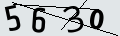 verifycode